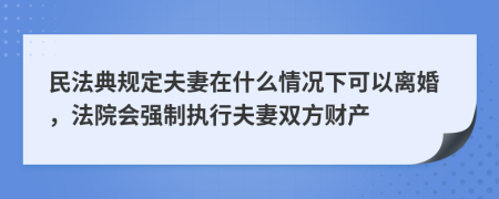 民法典规定夫妻在什么情况下可以离婚，法院会强制执行夫妻双方财产