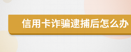 信用卡诈骗逮捕后怎么办