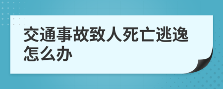 交通事故致人死亡逃逸怎么办