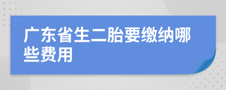 广东省生二胎要缴纳哪些费用