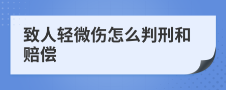 致人轻微伤怎么判刑和赔偿