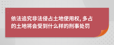 依法追究非法侵占土地使用权, 多占的土地将会受到什么样的刑事处罚