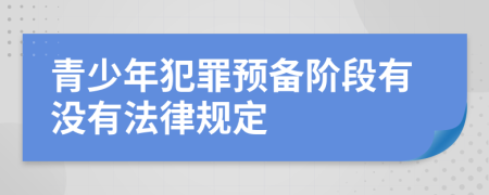 青少年犯罪预备阶段有没有法律规定