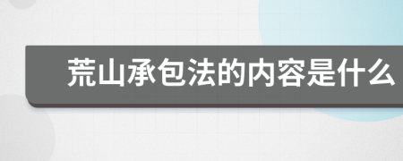 荒山承包法的内容是什么