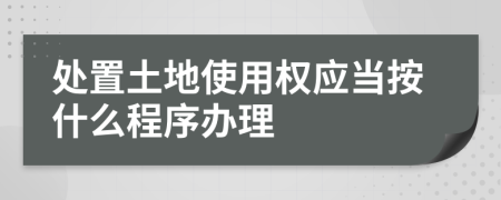 处置土地使用权应当按什么程序办理