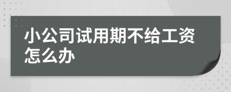 小公司试用期不给工资怎么办