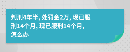 判刑4年半, 处罚金2万, 现已服刑14个月, 现已服刑14个月, 怎么办