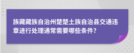 族藏藏族自治州楚楚土族自治县交通违章进行处理通常需要哪些条件?