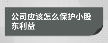 公司应该怎么保护小股东利益