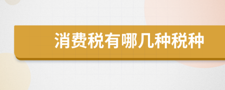 消费税有哪几种税种