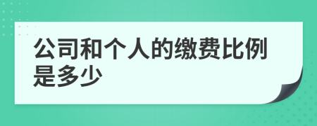 公司和个人的缴费比例是多少