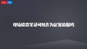 现场检查笔录可以作为定案依据吗