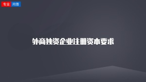 外商独资企业注册资本要求