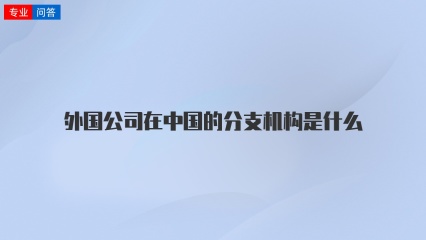 外国公司在中国的分支机构是什么