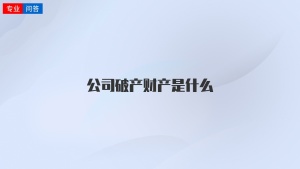 公司破产财产是什么