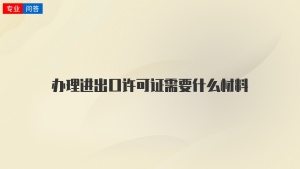 办理进出口许可证需要什么材料