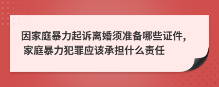 因家庭暴力起诉离婚须准备哪些证件, 家庭暴力犯罪应该承担什么责任