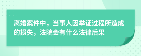 离婚案件中，当事人因举证过程所造成的损失，法院会有什么法律后果