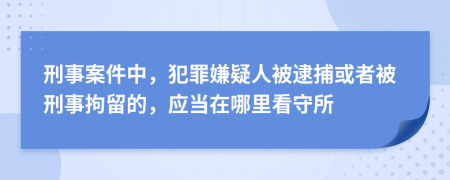 刑事案件中，犯罪嫌疑人被逮捕或者被刑事拘留的，应当在哪里看守所