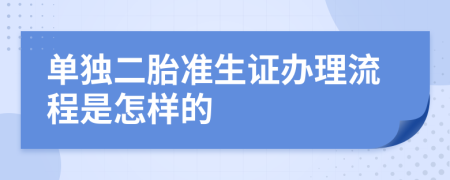 单独二胎准生证办理流程是怎样的