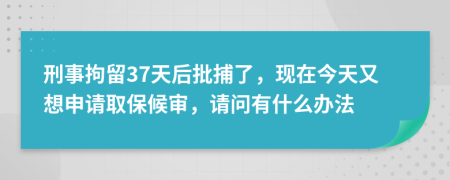 刑事拘留37天后批捕了，现在今天又想申请取保候审，请问有什么办法