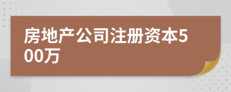 房地产公司注册资本500万