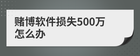 赌博软件损失500万怎么办