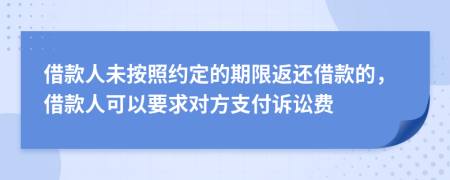 借款人未按照约定的期限返还借款的，借款人可以要求对方支付诉讼费