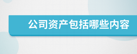 公司资产包括哪些内容