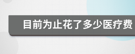 目前为止花了多少医疗费
