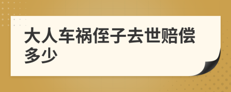 大人车祸侄子去世赔偿多少