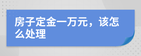 房子定金一万元，该怎么处理