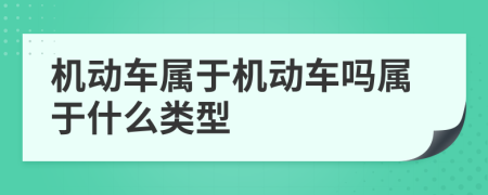 机动车属于机动车吗属于什么类型