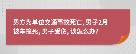 男方为单位交通事故死亡, 男子2月被车撞死, 男子受伤, 该怎么办?
