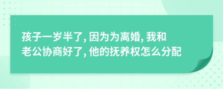 孩子一岁半了, 因为为离婚, 我和老公协商好了, 他的抚养权怎么分配