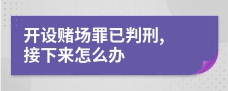 开设赌场罪已判刑, 接下来怎么办