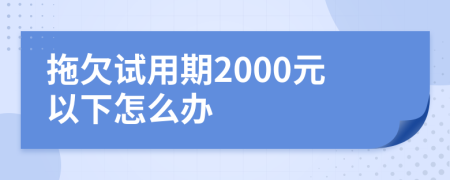 拖欠试用期2000元以下怎么办