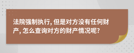 法院强制执行, 但是对方没有任何财产, 怎么查询对方的财产情况呢?