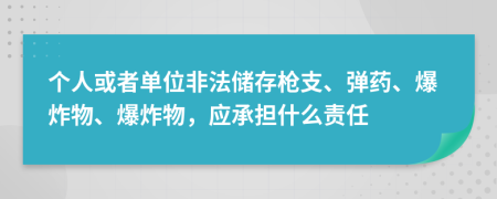 个人或者单位非法储存枪支、弹药、爆炸物、爆炸物，应承担什么责任