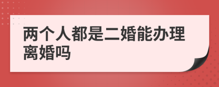 两个人都是二婚能办理离婚吗