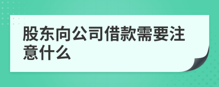 股东向公司借款需要注意什么