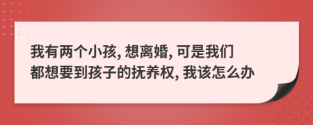 我有两个小孩, 想离婚, 可是我们都想要到孩子的抚养权, 我该怎么办