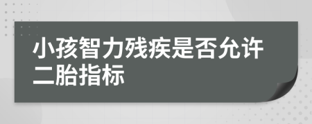 小孩智力残疾是否允许二胎指标