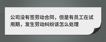 公司没有签劳动合同，但是有员工在试用期，发生劳动纠纷该怎么处理