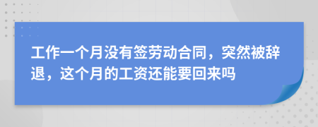 工作一个月没有签劳动合同，突然被辞退，这个月的工资还能要回来吗