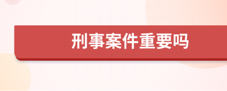 刑事案件重要吗