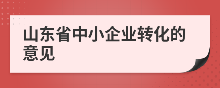 山东省中小企业转化的意见