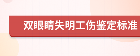 双眼睛失明工伤鉴定标准