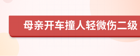 母亲开车撞人轻微伤二级