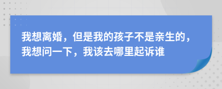 我想离婚，但是我的孩子不是亲生的，我想问一下，我该去哪里起诉谁